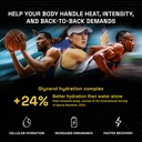 hydrate-heat-resistant-electrolyte-powde-3.jpg