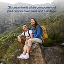 puritan-s-pride-joint-formula-glucosamin-4.jpg