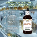 hawaii-pharm-cilantro-alcohol-free-extra-4.jpg