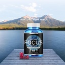 python-focus---nootropic-brain-supplemen-6.jpg