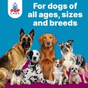 pup-labs-k9-belly-bliss-all-natural-gut--5.jpg