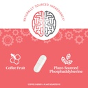 21st-century-brilliant-brain-performance-2.jpg
