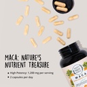happy-healthy-hippie-glow-for-it-astaxan-5.jpg