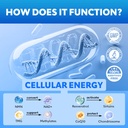 nmn-500mg-capsules-5-in-1-nad-precursor--4.jpg