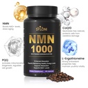 nmn-supplement-1000mg-99-pure-nmn-4-in-1-2.jpg
