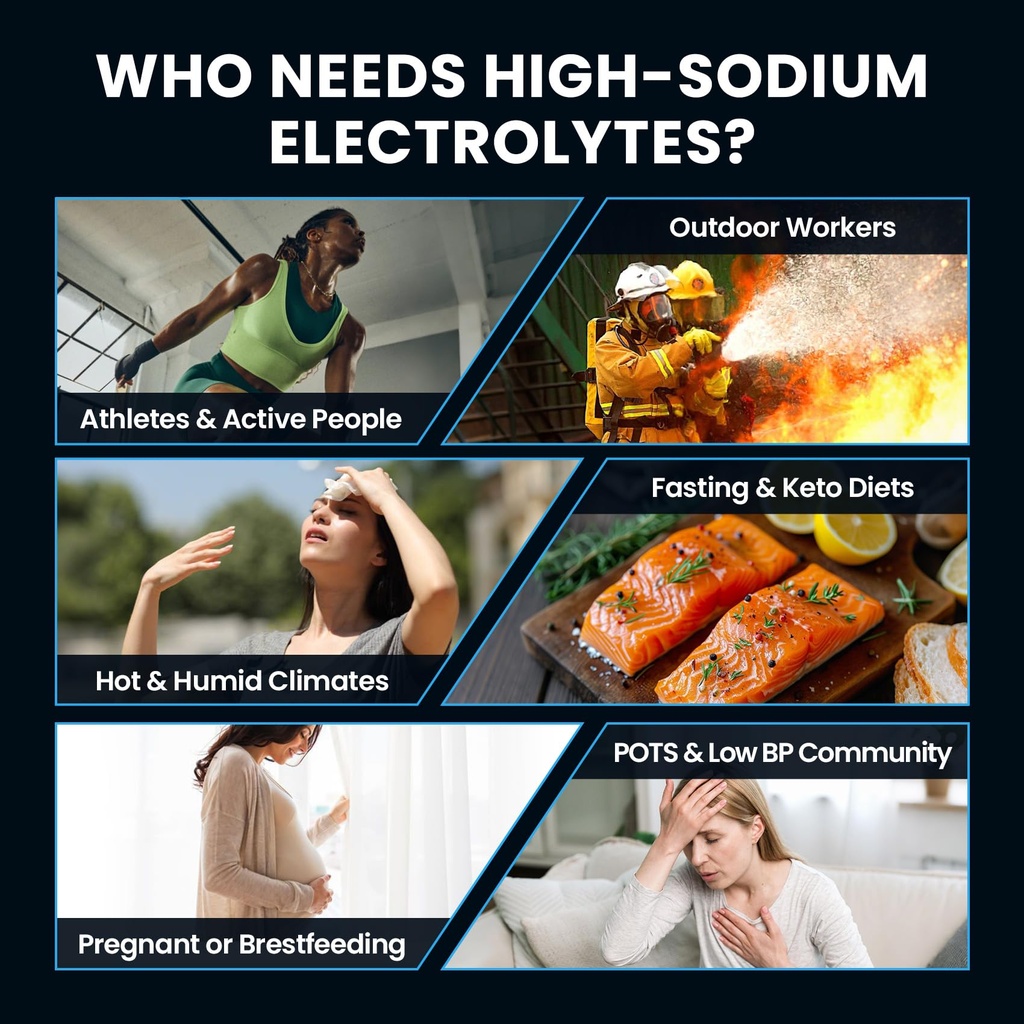 venture-pal-high-sodium-sugar-free-elect-5.jpg