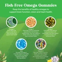 bundle-of-kids-gummies-dha-fatty-acids-o-6.jpg
