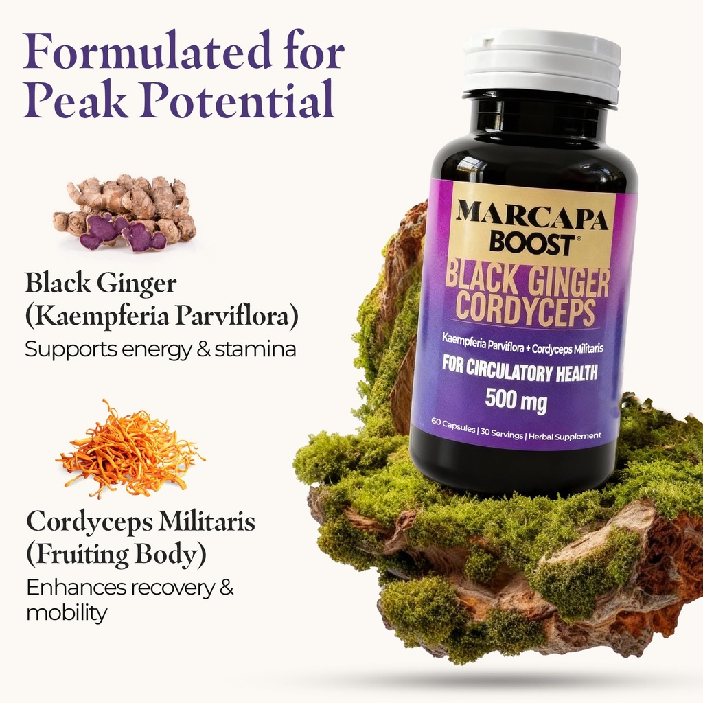 marcapa-boost-black-ginger-cordyceps-cir-3.jpg