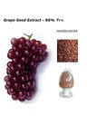 grape-seed-europe-extract-powder-standar-2.jpg