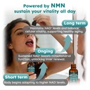 nmn-supplement-liquid-drops-advanced-4-i-4.jpg
