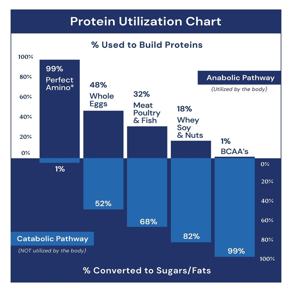 bodyhealth-perfectamino-essential-amino--5.jpg