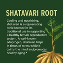 banyan-botanicals-organic-shatavari-tabl-3.jpg