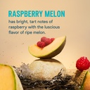 liquid-i-v-hydration-multiplier-sugar-fr-2.jpg