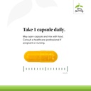 terry-naturally-curamed-500mg-antioxidan-4.jpg