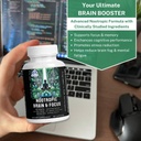 nootropic-brain-supplements-for-memory-f-4.jpg