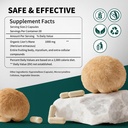 lions-mane-mushroom-extract-capsules-org-2.jpg