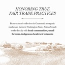 anima-mundi-apothecary-lions-mane-brain--5.jpg