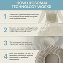 core-med-science-liposomal-quercetin-sup-6.jpg