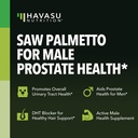 havasu-nutrition-stinging-nettle-leaf-ex-4.jpg
