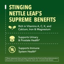 havasu-nutrition-stinging-nettle-leaf-ex-5.jpg