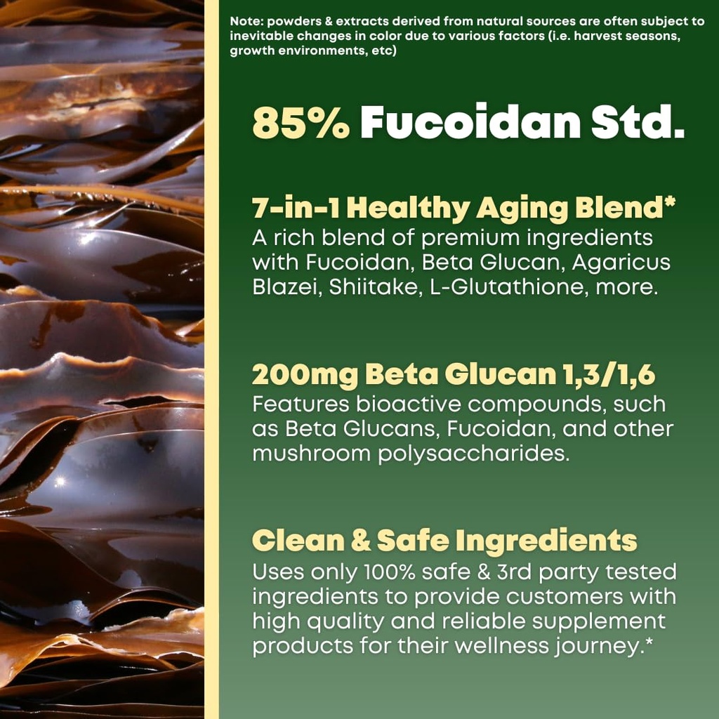 beta-glucan-fucoidan-brown-seaweed-extra-4.jpg