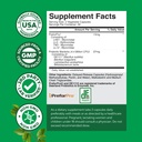 prebiotics-and-probiotics-gut-health-sup-3.jpg