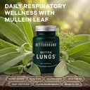 betterbrand-betterlungs-lung-support-sup-2.jpg