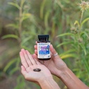 motherlove-more-milk-special-blend-60-li-6.jpg