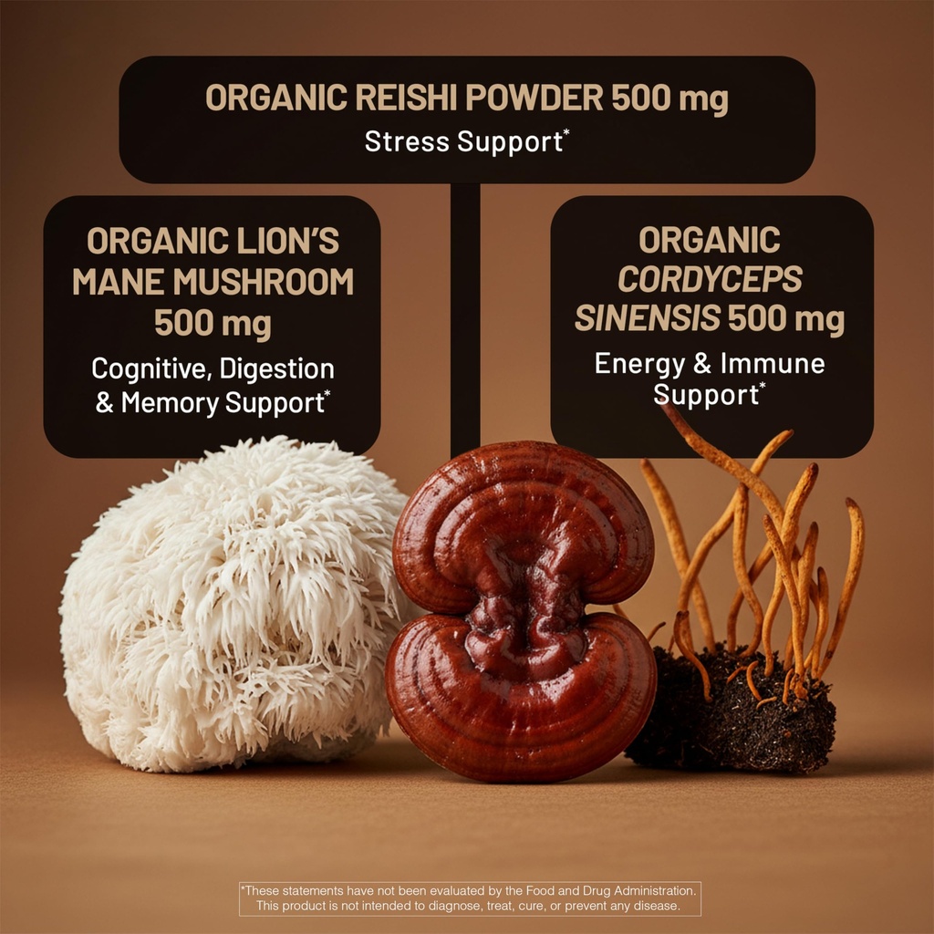 naturewise-mushroom-complex-with-organic-4.jpg