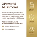 solgar-multi-mushroom-complex-50-vegetab-4.jpg