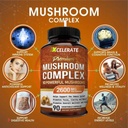 10-powerful-premium-mushroom-complex-2-6-2.jpg