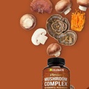 10-powerful-premium-mushroom-complex-2-6-5.jpg