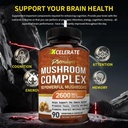 10-powerful-premium-mushroom-complex-2-6-6.jpg