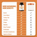 force-factor-modern-mushrooms-capsules-m-4.jpg
