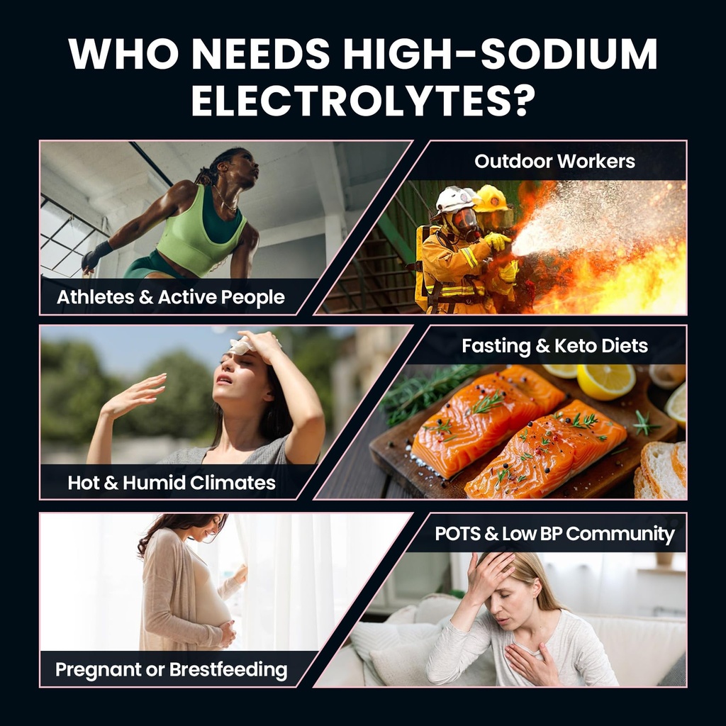 venture-pal-high-sodium-sugar-free-elect-5.jpg