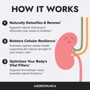 kidney-cleanse-detox-repair-vitamin-b6-m-5.jpg