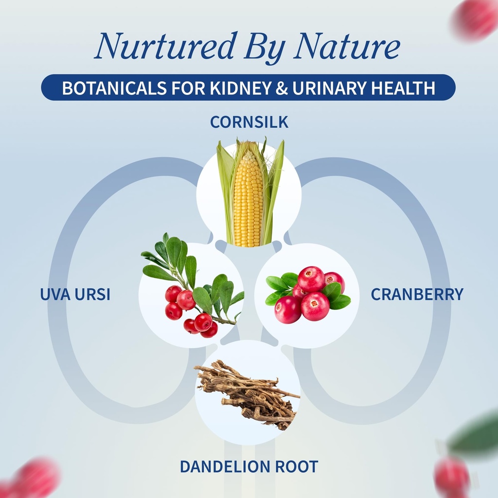 snap-supplements-kidney-health-support-s-3.jpg