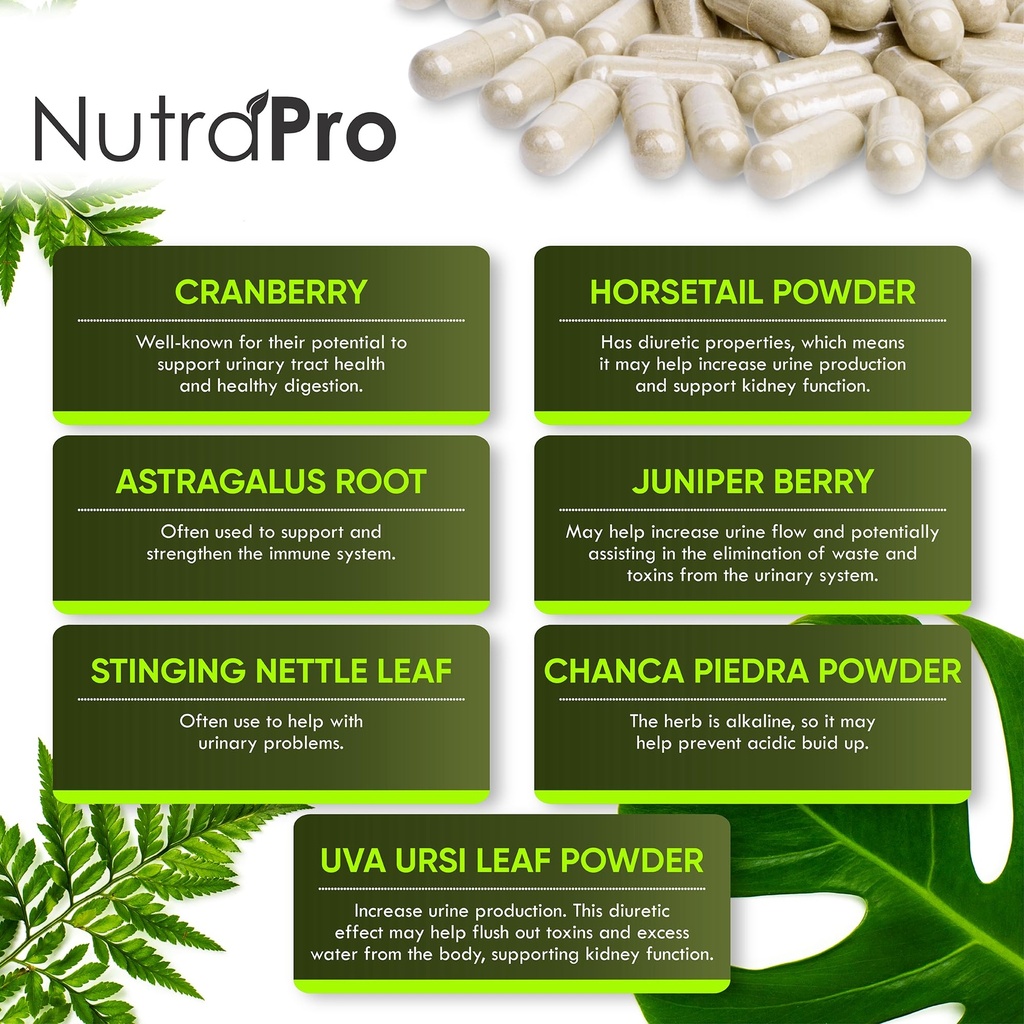 nutrapro-kidney-cleanse-detox-repair-and-5.jpg