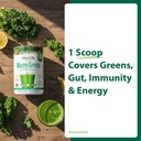 macrolife-naturals-macro-greens-superfoo-3.jpg