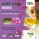 wild-organic-saffron-extract-capsules-88-5.jpg