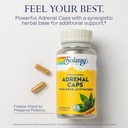 solaray-adrenal-caps-freeze-dried-wellne-3.jpg