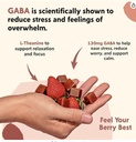 pym-berry-mood-chews-support-for-stress--5.jpg