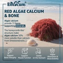 calcium-gummies-600mg-calcium-supplement-2.jpg