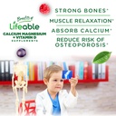 lifeable-kids-calcium-magnesium-zinc-gum-3.jpg