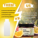 santa-cruz-paleo-electrolyte-powder-p-o--2.jpg