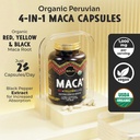 maju-superfoods-4-in-1-maca-root-capsule-2.jpg