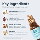 melody-heart-tune-4-in-1-blood-pressure--5.jpg