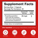 szio-20-bundle-utiva-cranberry-pacs-30-v-3.jpg