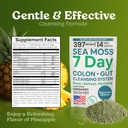 atlantic-naturals-sea-moss-7-colon-clean-3.jpg