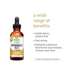 botanic-spa-astragalus-root-liquid-extra-5.jpg
